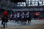 Cavalry - 00163